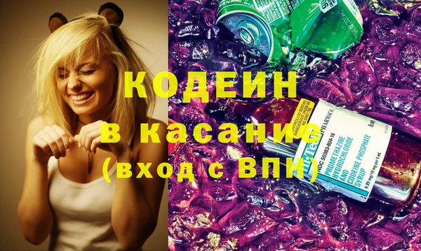 мдпв Вяземский