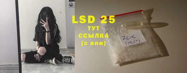 мдпв Вяземский