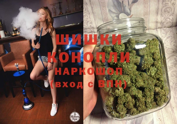 мдпв Вяземский