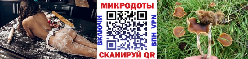 Галлюциногенные грибы Cubensis  дарнет шоп  Емва 